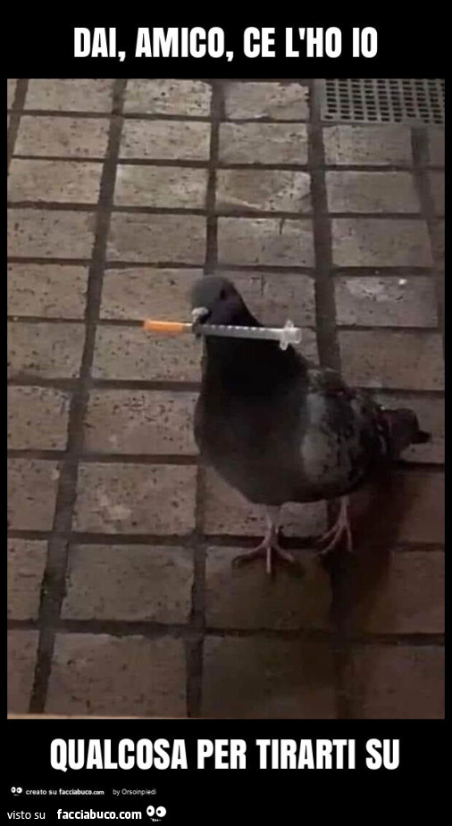 Dai, amico, ce l'ho io qualcosa per tirarti su