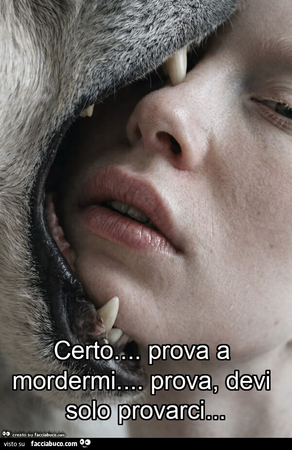 Certo… prova a mordermi… prova, devi solo provarci