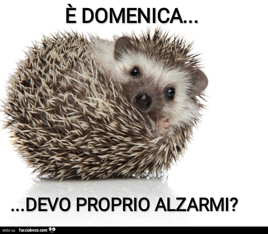 È domenica