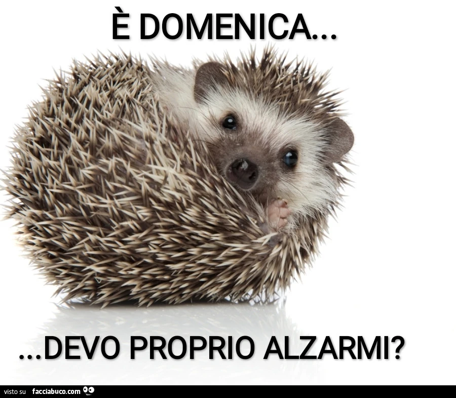 È domenica
