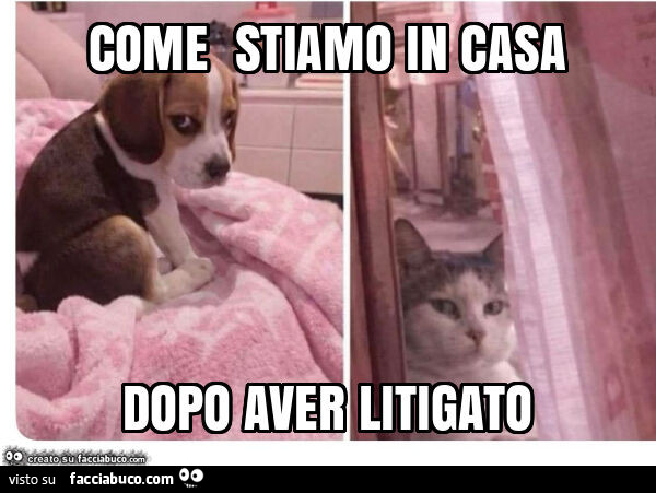 Come stiamo in casa dopo aver litigato