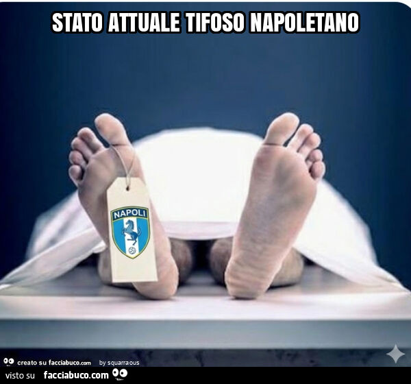 Stato attuale tifoso napoletano