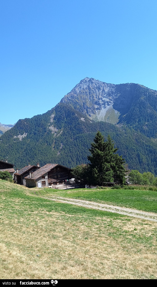 Montagna
