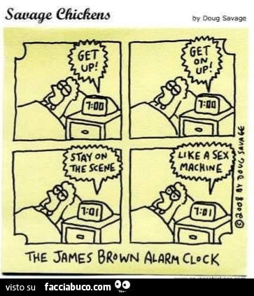 Savage Chickens. Sex Machine. La sveglia di James Brown
