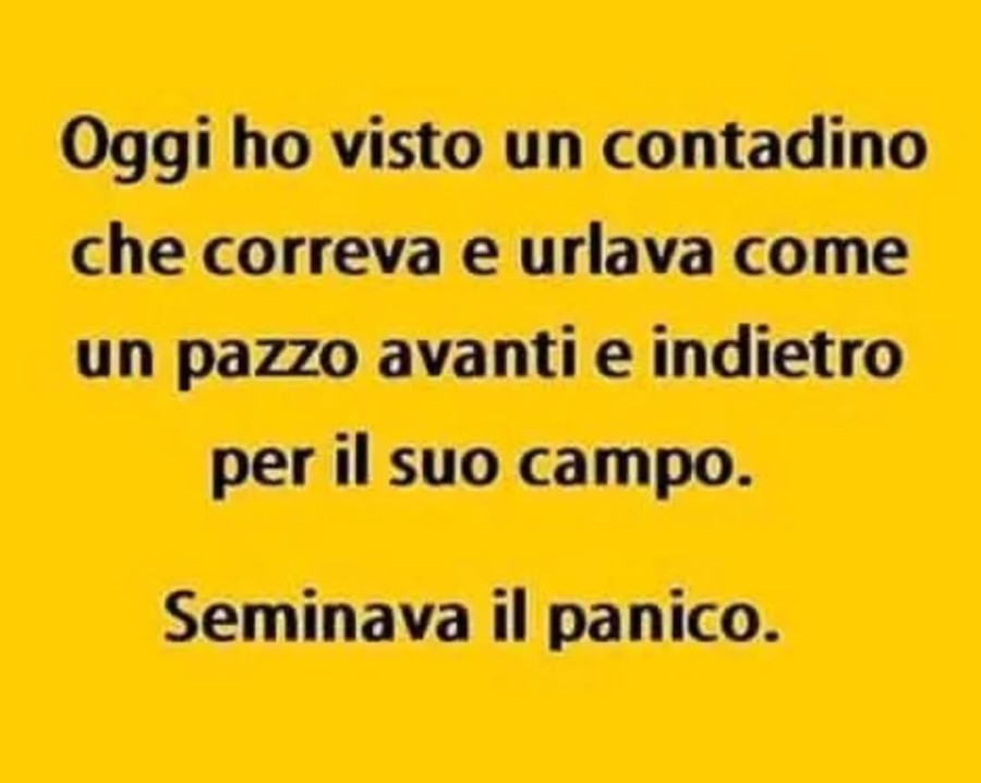 Oggi ho visto un contadino che correva e urlava come un pazzo avanti e indietro per il suo campo. Seminava il panico