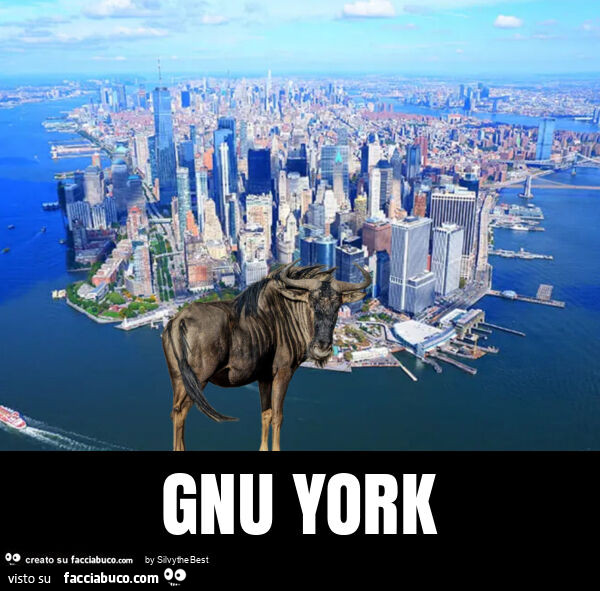 Gnu york