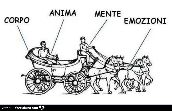 Corpo. Anima. Mente. Emozioni