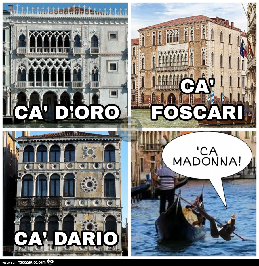 Vaccata