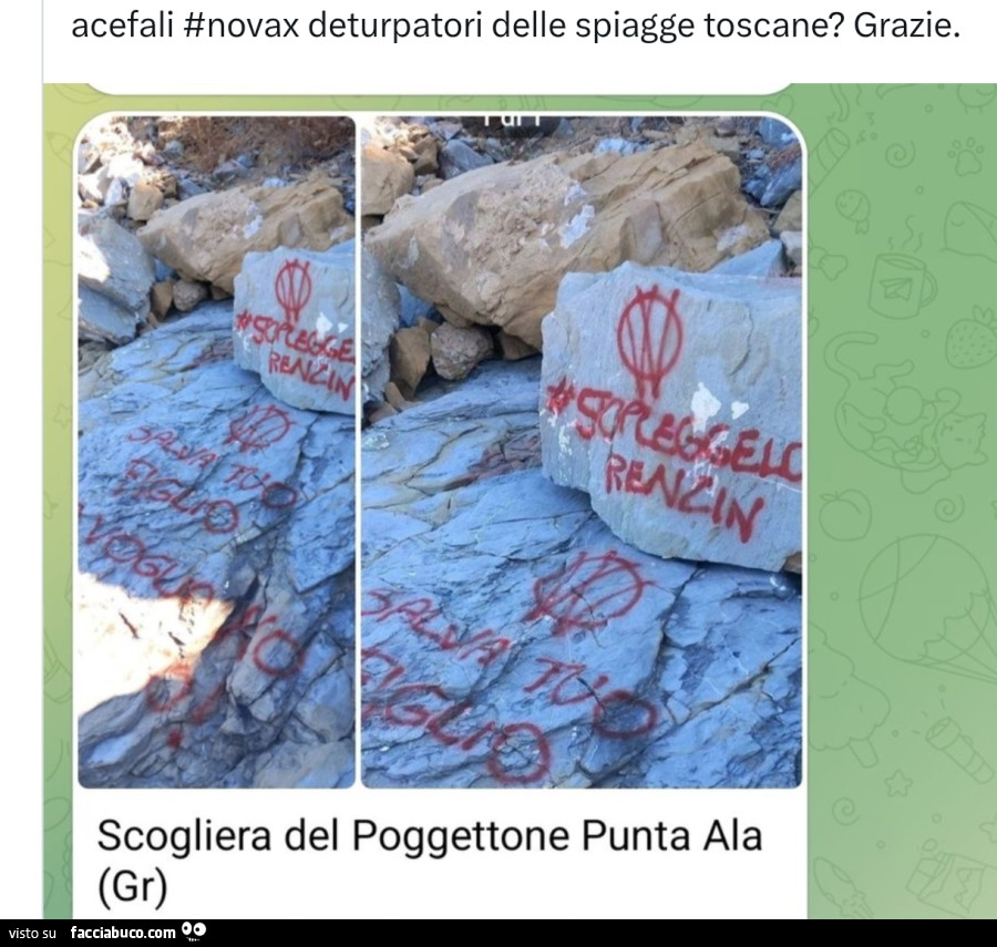 Vaccata