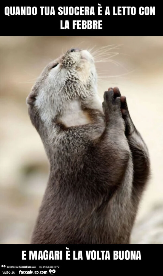 Quando tua suocera è a letto con la febbre e magari è la volta buona