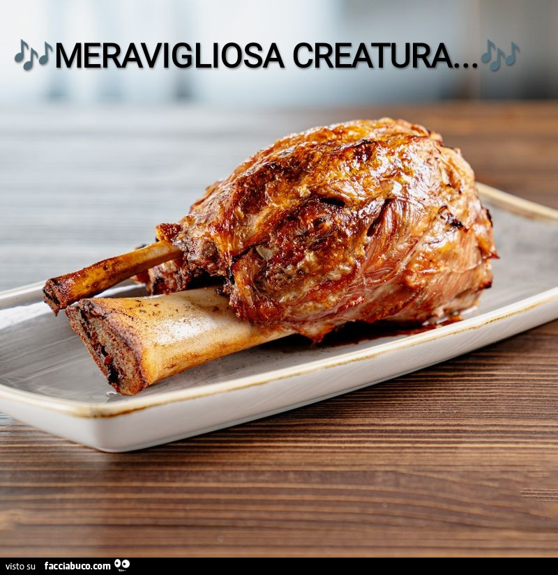 Meravigliosa creatura