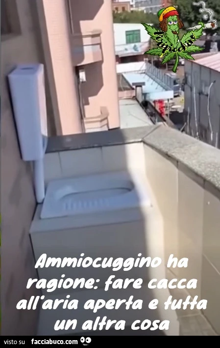 Vaccata
