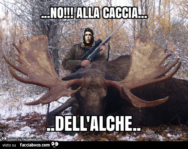 No! Alla caccia… dell'alche