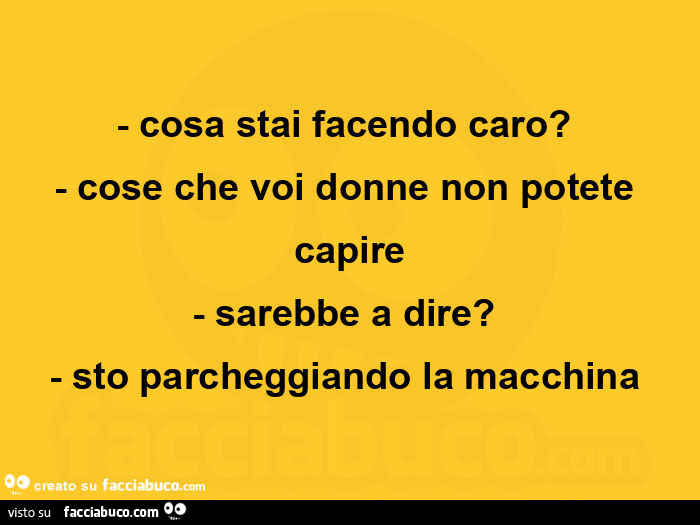 Cosa stai facendo caro? Cose che voi donne non potete capire. Sarebbe a dire? Sto parcheggiando la macchina