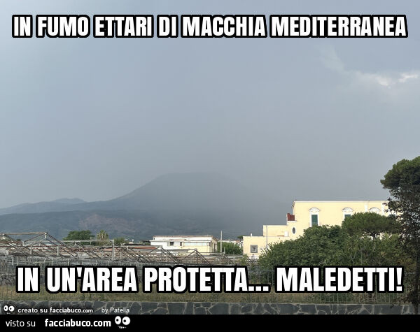 Incendi dolosi