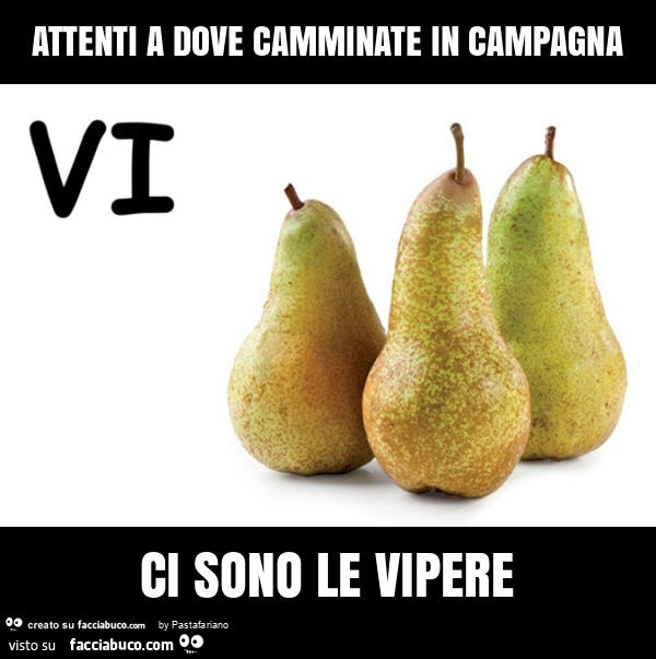 Attenti a dove camminate in campagna ci sono le vipere