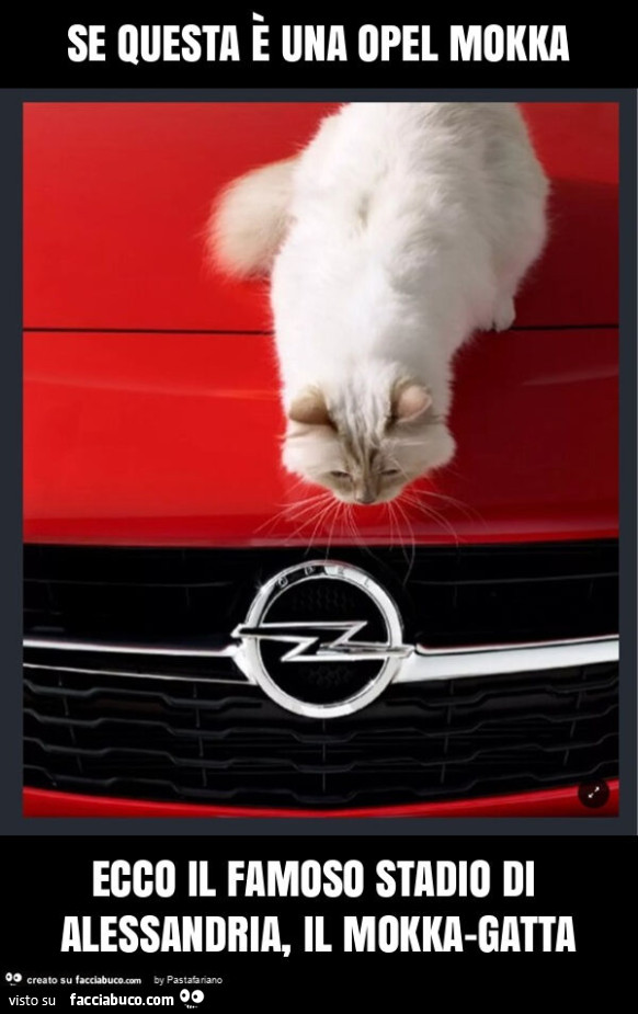 Se questa è una opel mokka ecco il famoso stadio di alessandria, il mokka-gatta