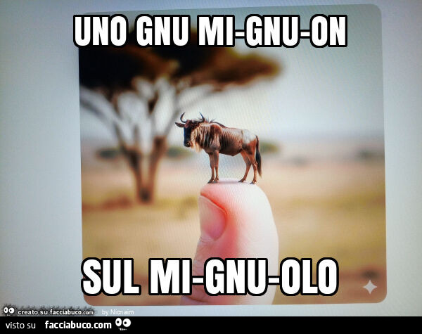 Uno gnu mi-gnu-on sul mi-gnu-olo