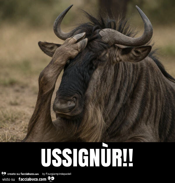 Ussignùr