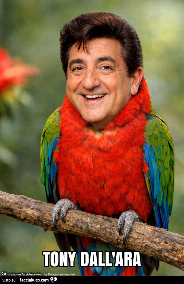 Tony dall'ara