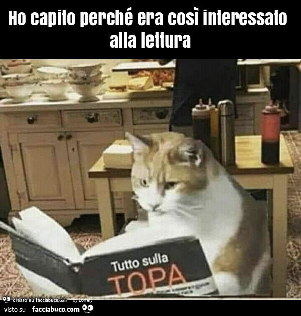 Ho capito perché era così interessato alla lettura