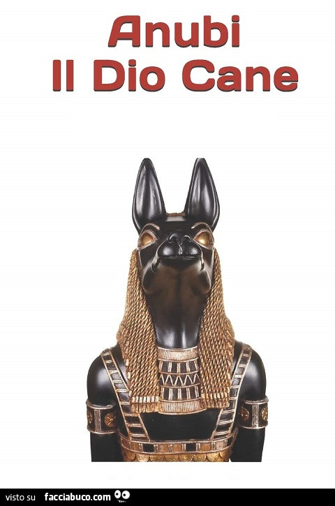Anubl il dio cane
