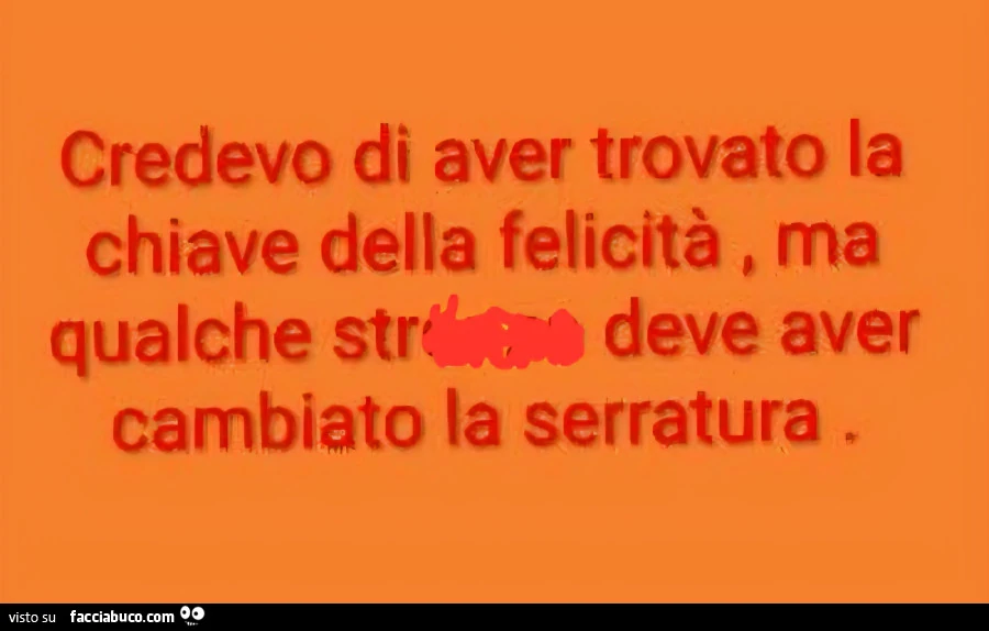 Credevo di aver trovato la chiave della felicità, ma qualche stronzo deve aver cambiato la serratura