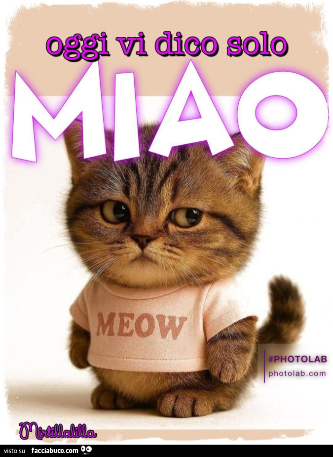 E dico miao