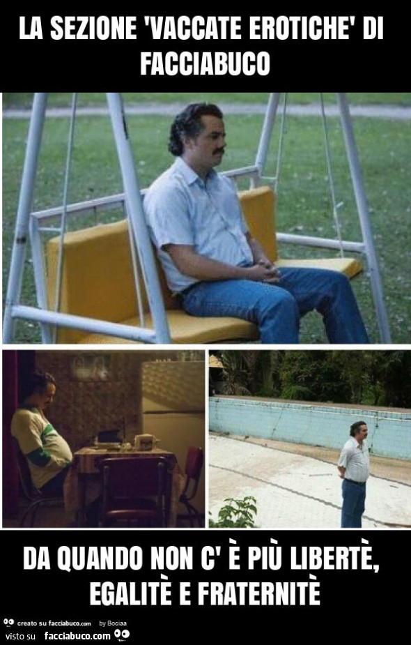 La sezione 'vaccate erotichè di facciabuco da quando non c' è più libertè, egalitè e fraternitè