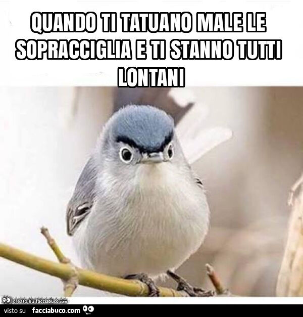 Quando ti tatuano male le sopracciglia e ti stanno tutti lontani