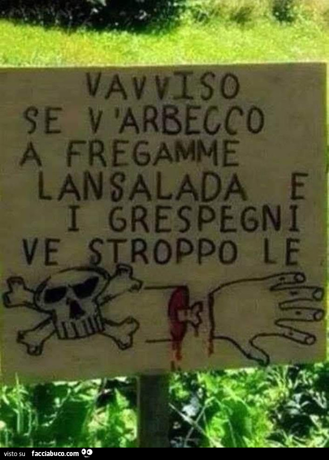 Vaccata