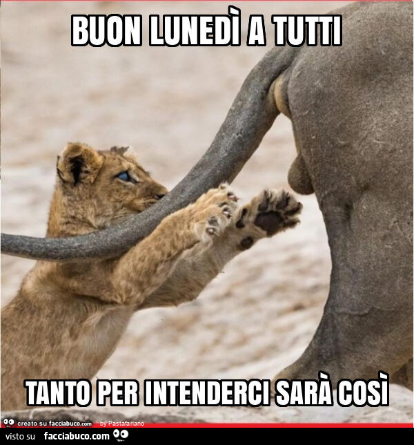 Buon lunedì a tutti tanto per intenderci sarà così