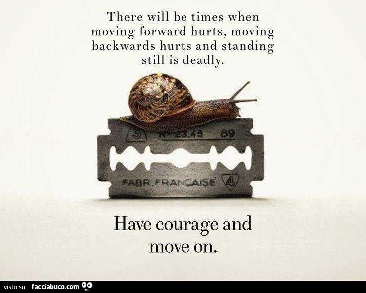 There will be times when moving forward hurts, moving backwards hurts and standing still is deadly. Have courage and move on