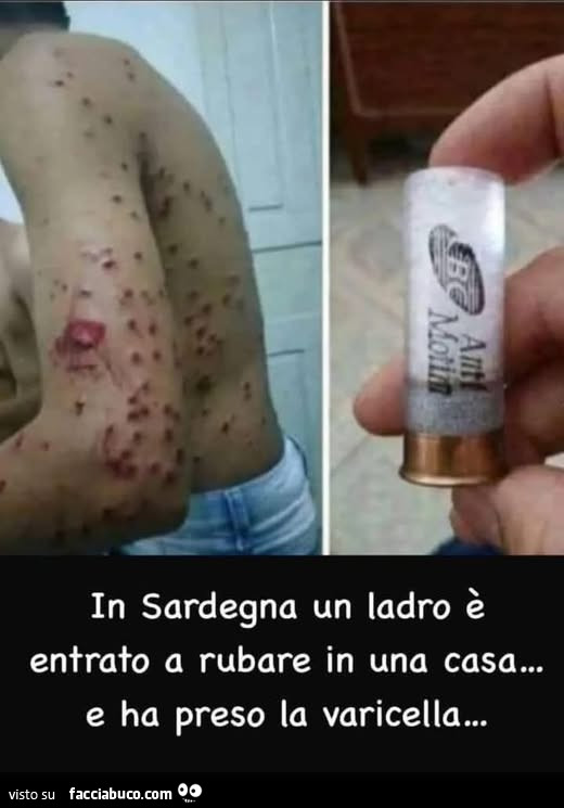 Vaccata