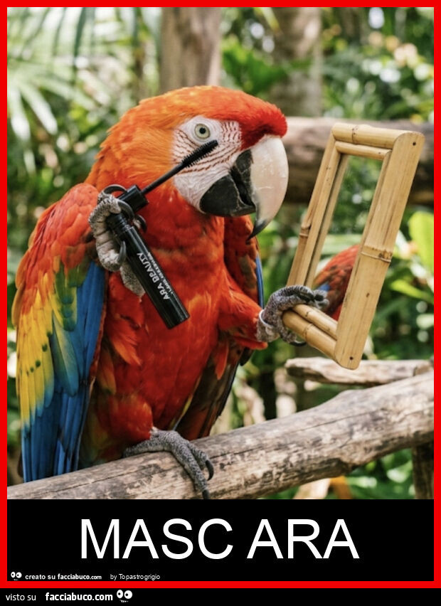 Masc ara