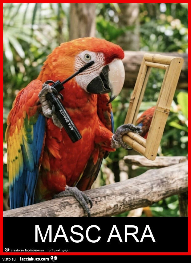 Masc ara