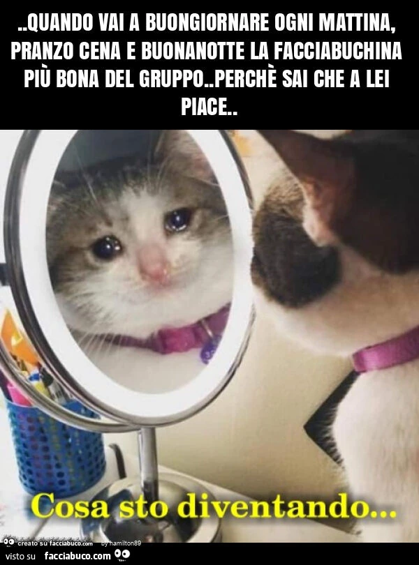 Quando vai a buongiornare ogni mattina, pranzo cena e buonanotte la facciabuchina piรน bona del gruppo. Perchรจ sai che a lei piace