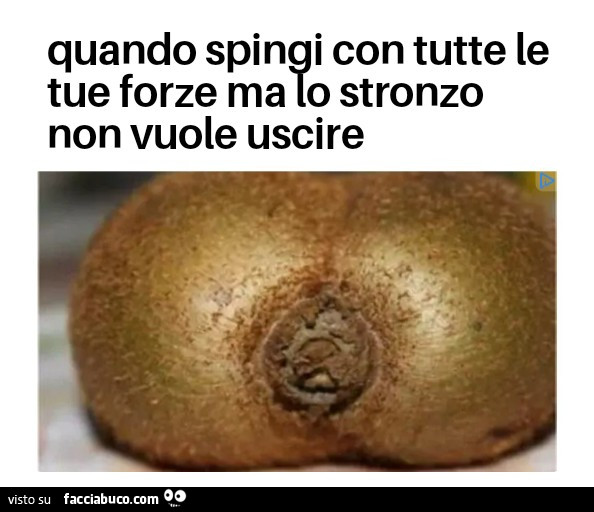 Quando stronzo cacca kiwi