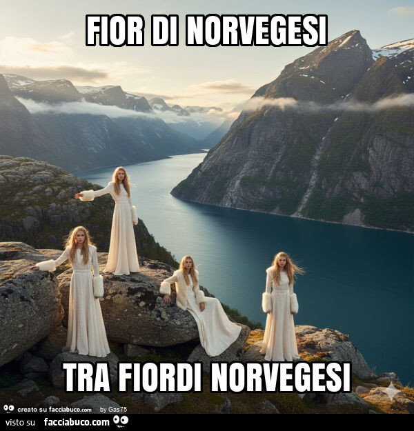 Fior di norvegesi tra fiordi norvegesi
