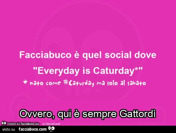 Facciabuco è quel social dove "Everyday is Caturday". Ovvero, qui è sempre gattordì