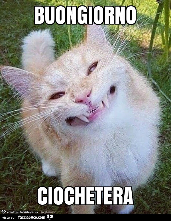 Vaccata