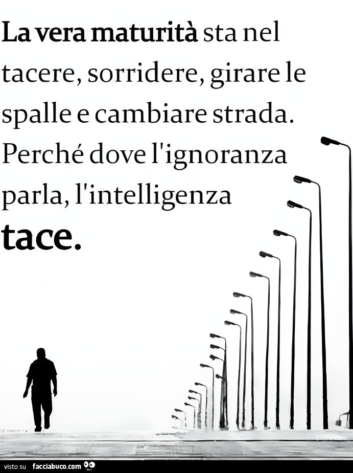 La vera maturità sta nel tacere, sorridere, girare le spalle e cambiare strada. Perché dove l'ignoranza parla, l'intelligenza tace