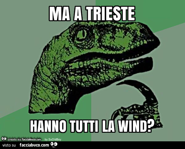 Ma a trieste hanno tutti la wind?