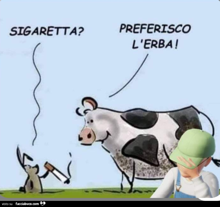 Erba