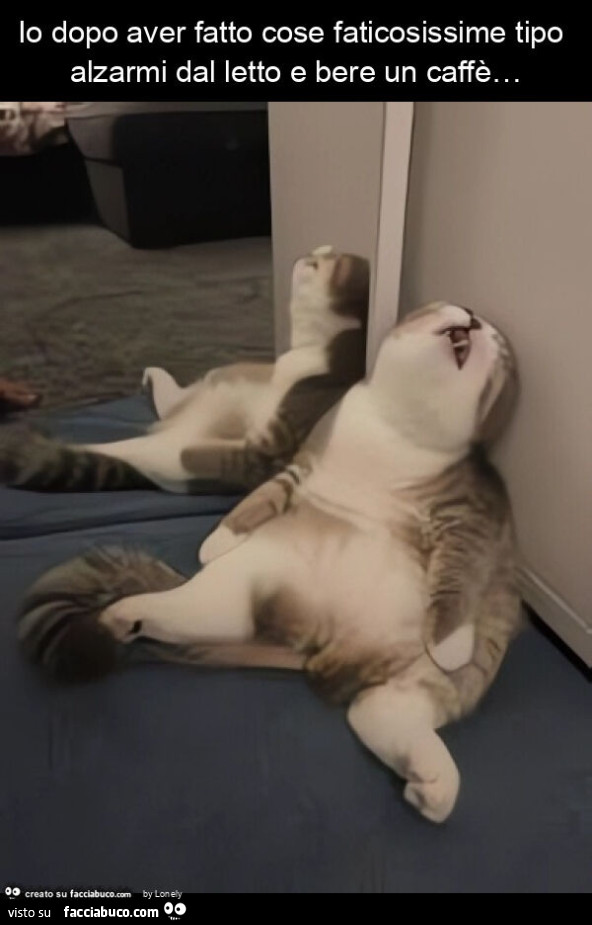 Io dopo aver fatto cose faticosissime tipo alzarmi dal letto e bere un caffè&hellip;