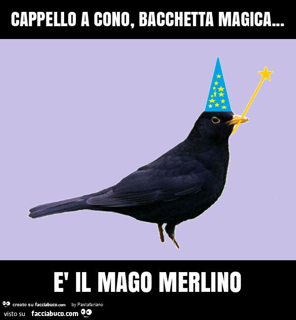 Cappello a cono, bacchetta magica&hellip; è il mago merlino