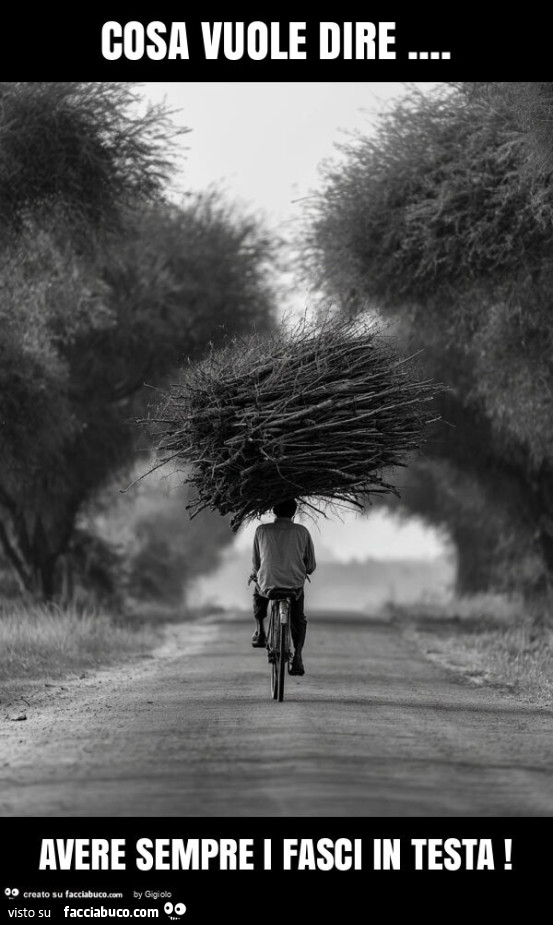 Cosa vuole dire… avere sempre i fasci in testa