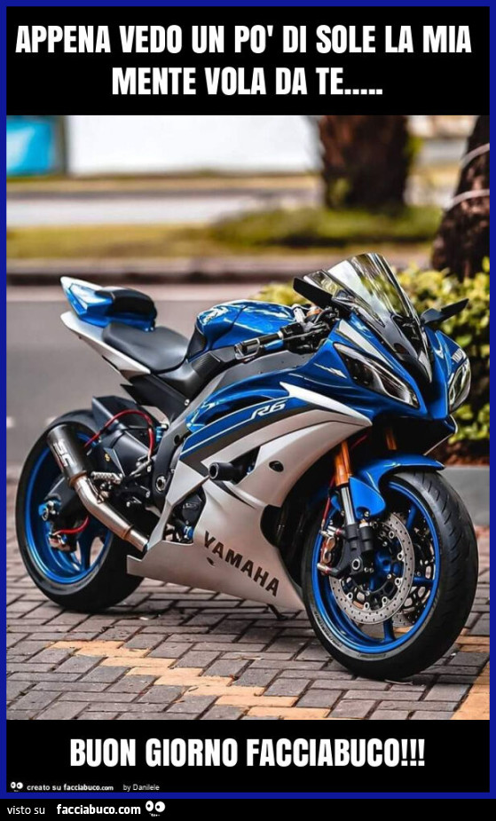 Appena vedo un po' di sole la mia mente vola da te&hellip; buon giorno facciabuco
