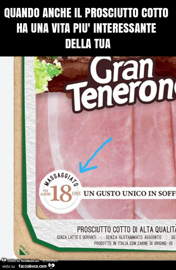 Quando anche il prosciutto cotto ha una vita piรน interessante della tua