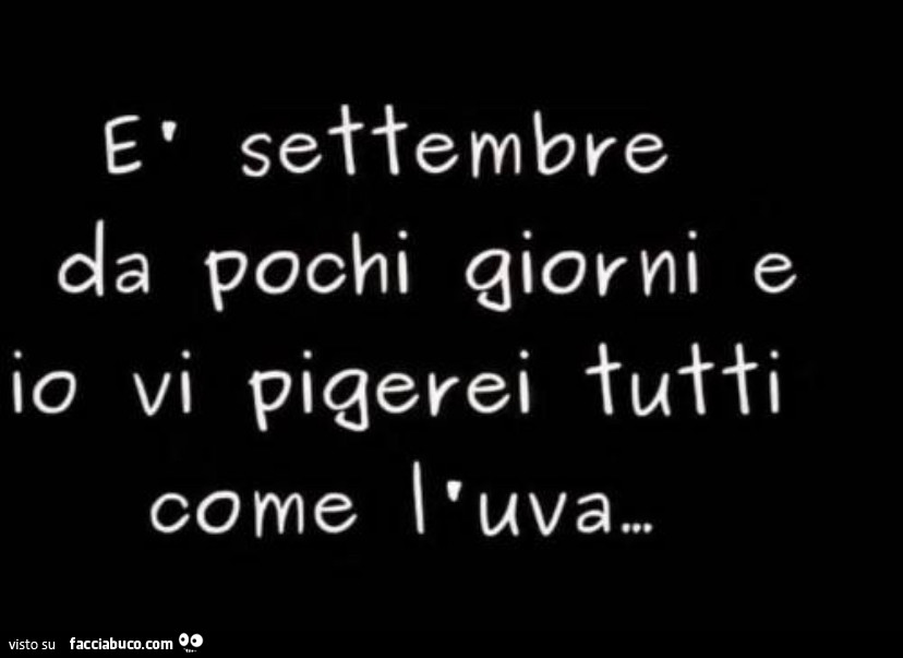 È settembre da pochi giorni e io vi pigerei tutti come l'uva